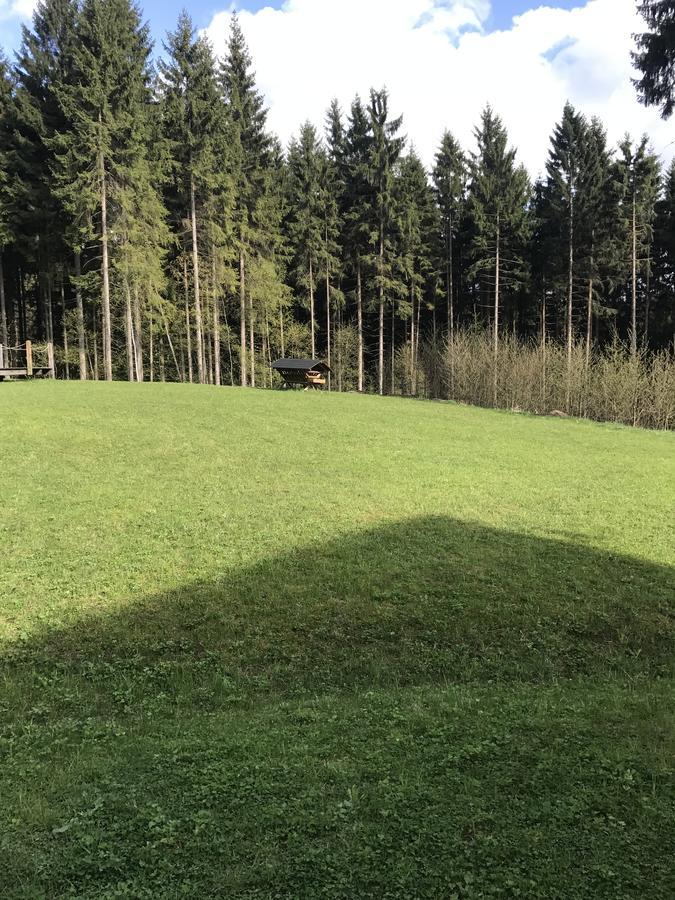 Chalet6Harrachov Se Saunou Bagian luar foto