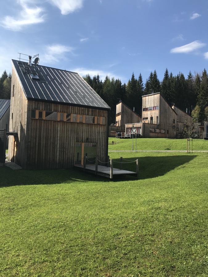 Chalet6Harrachov Se Saunou Bagian luar foto