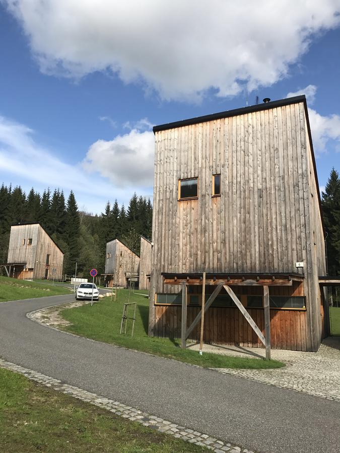 Chalet6Harrachov Se Saunou Bagian luar foto